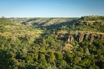 Oak woodland w/ Blue Oak, Valley Oak, Canyon Live Oak, Gray Pines [pan 1 of 4]