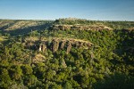 Oak woodland w/ Blue Oak, Valley Oak, Canyon Live Oak, Gray Pines [pan 2 of 4]