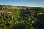 Oak woodland w/ Blue Oak, Valley Oak, Canyon Live Oak, Gray Pines [pan 4 of 4]